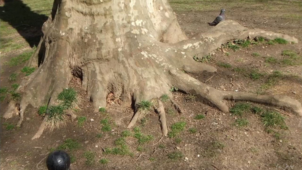 Backdrop – Roots of Manhattan