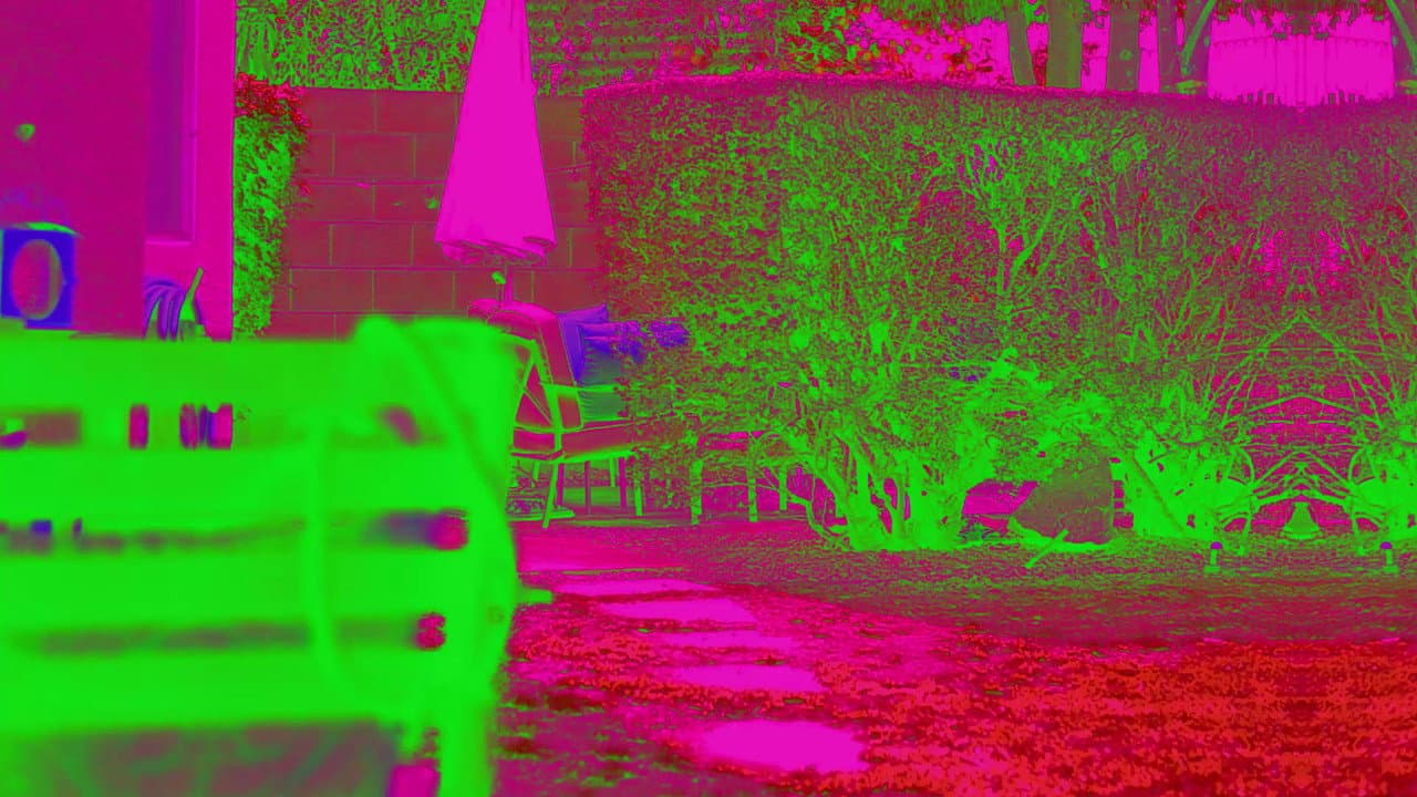 Backdrop – This Must Be My Face