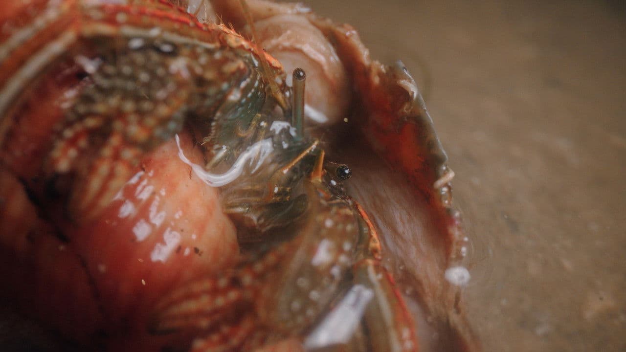 Backdrop – seaward