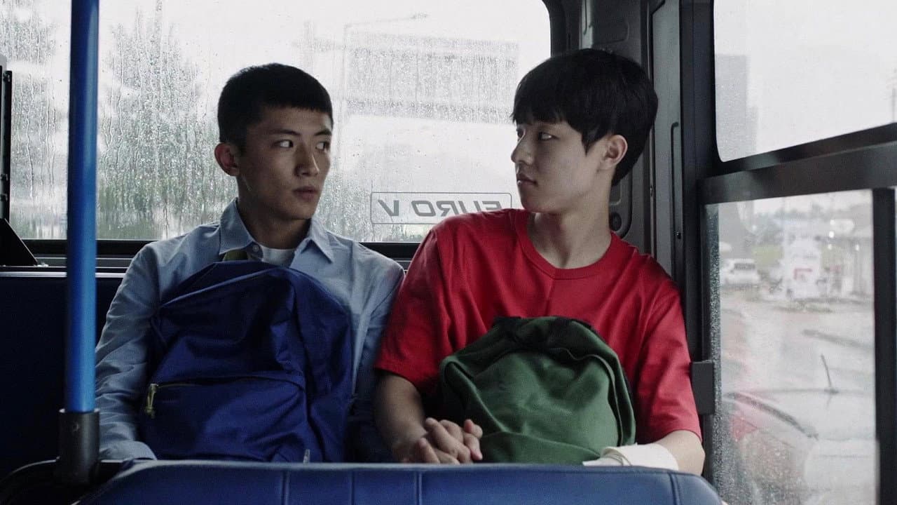 Backdrop – 피터팬의 꿈