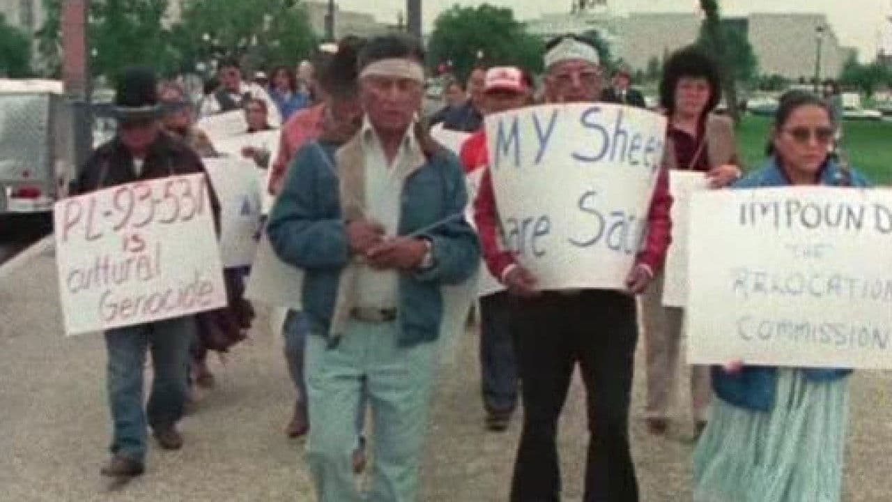 Backdrop – Broken Rainbow