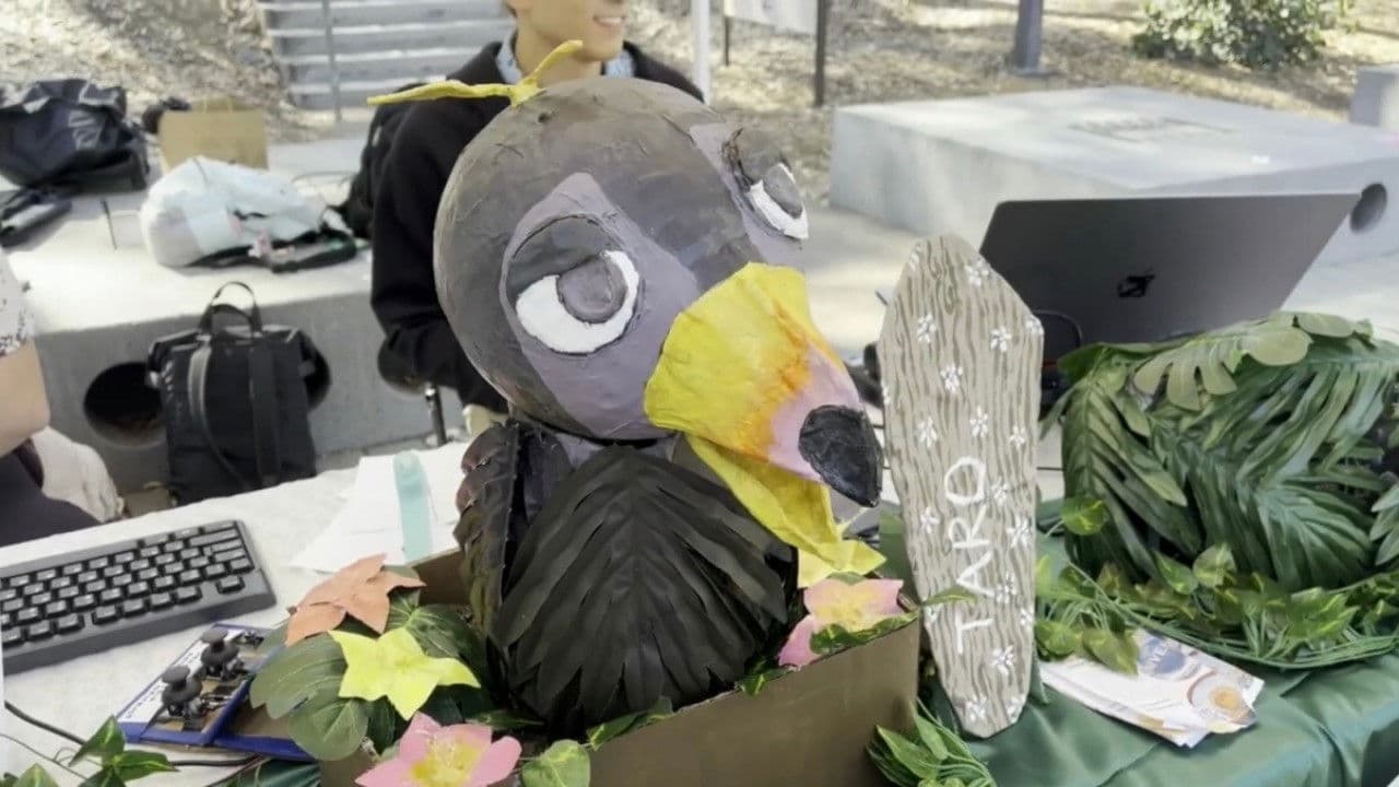 Backdrop – Making Taro Talk: A Documentary