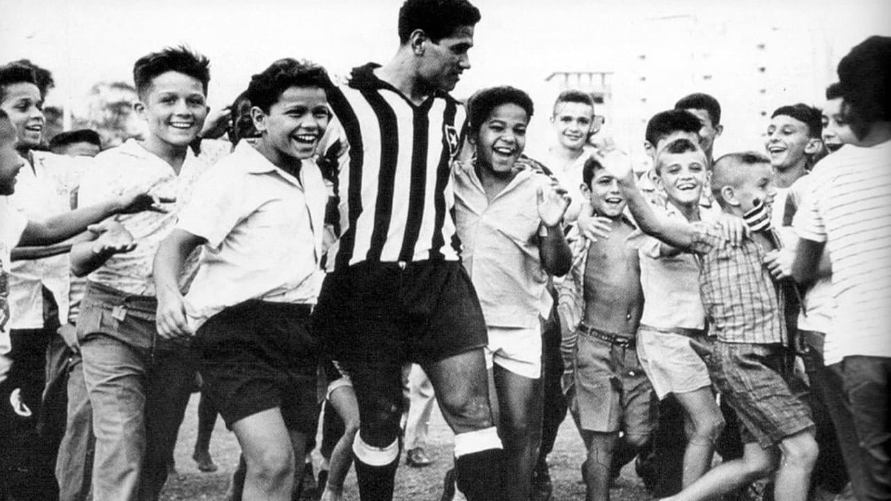 Backdrop – Garrincha, Alegria do Povo