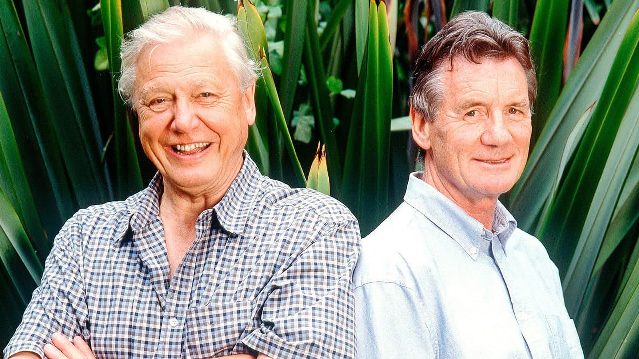 Backdrop – Life on Air: David Attenborough's 50 Years in Television