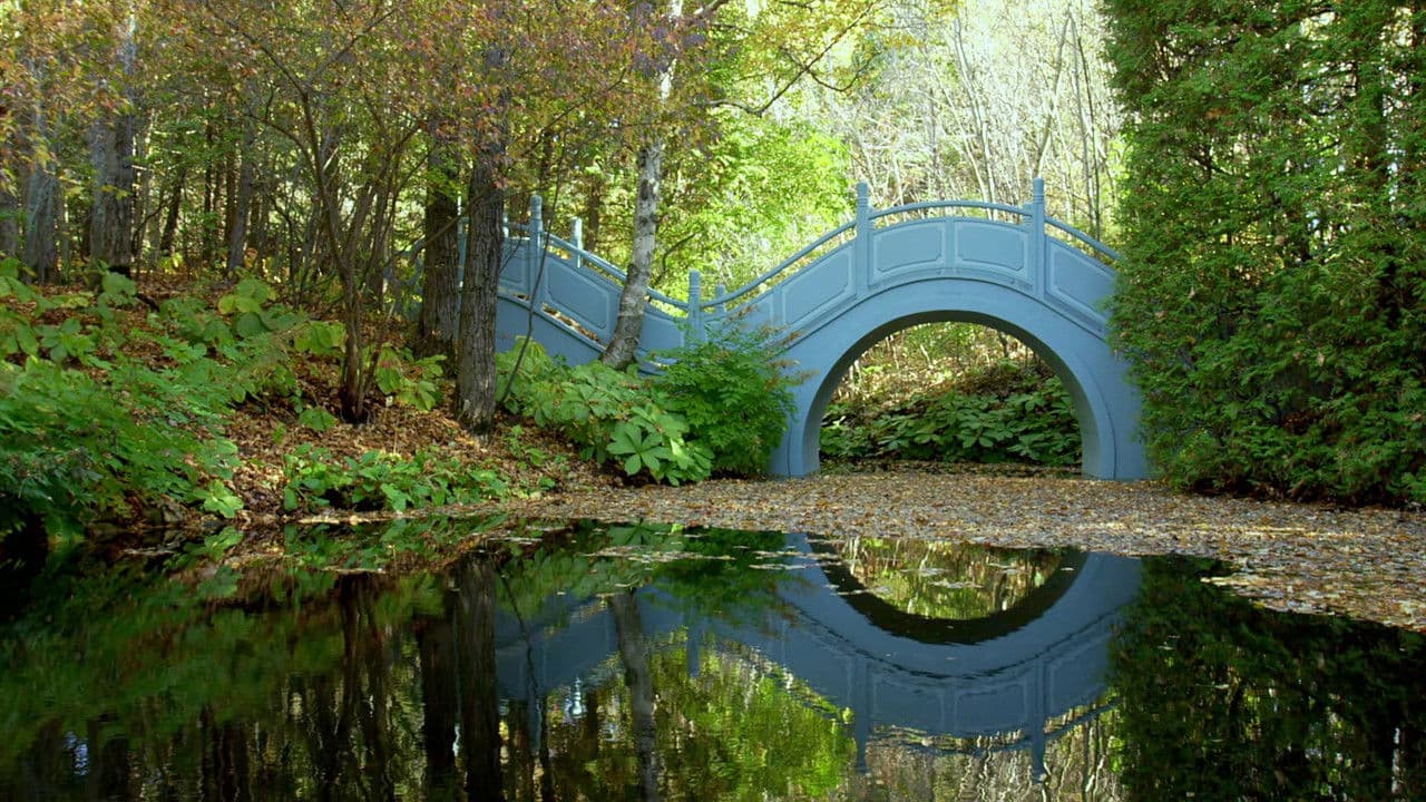 Backdrop – The Gardener