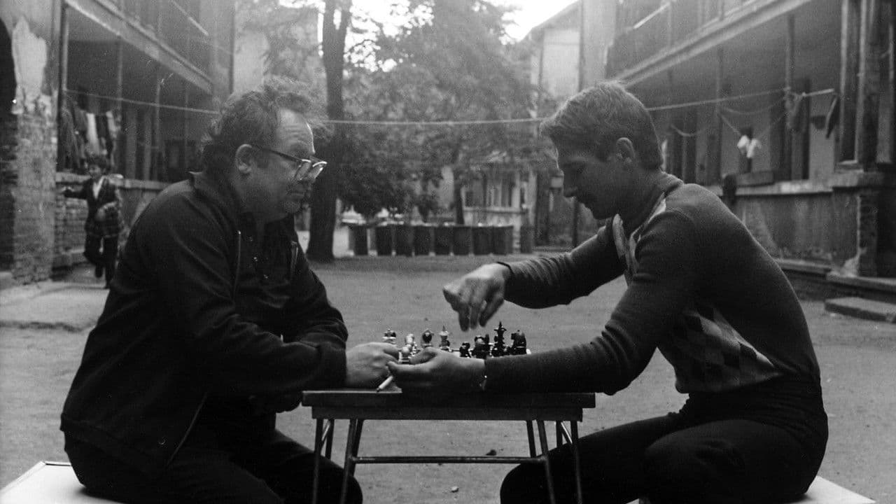 Backdrop – Családi tűzfészek