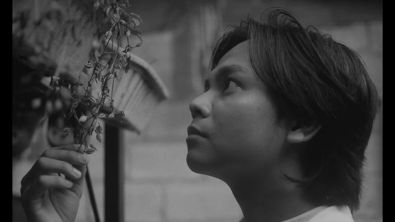 Backdrop – When We Cross