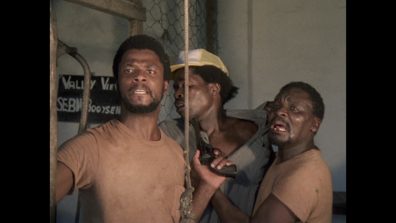 Backdrop – Fishy Stones