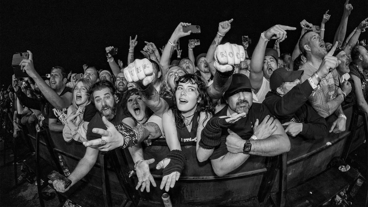 Backdrop – 40 Years of Fuckin' Up