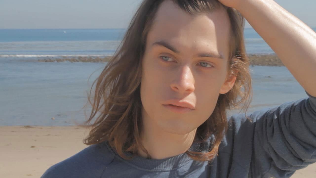 Backdrop – The Surface