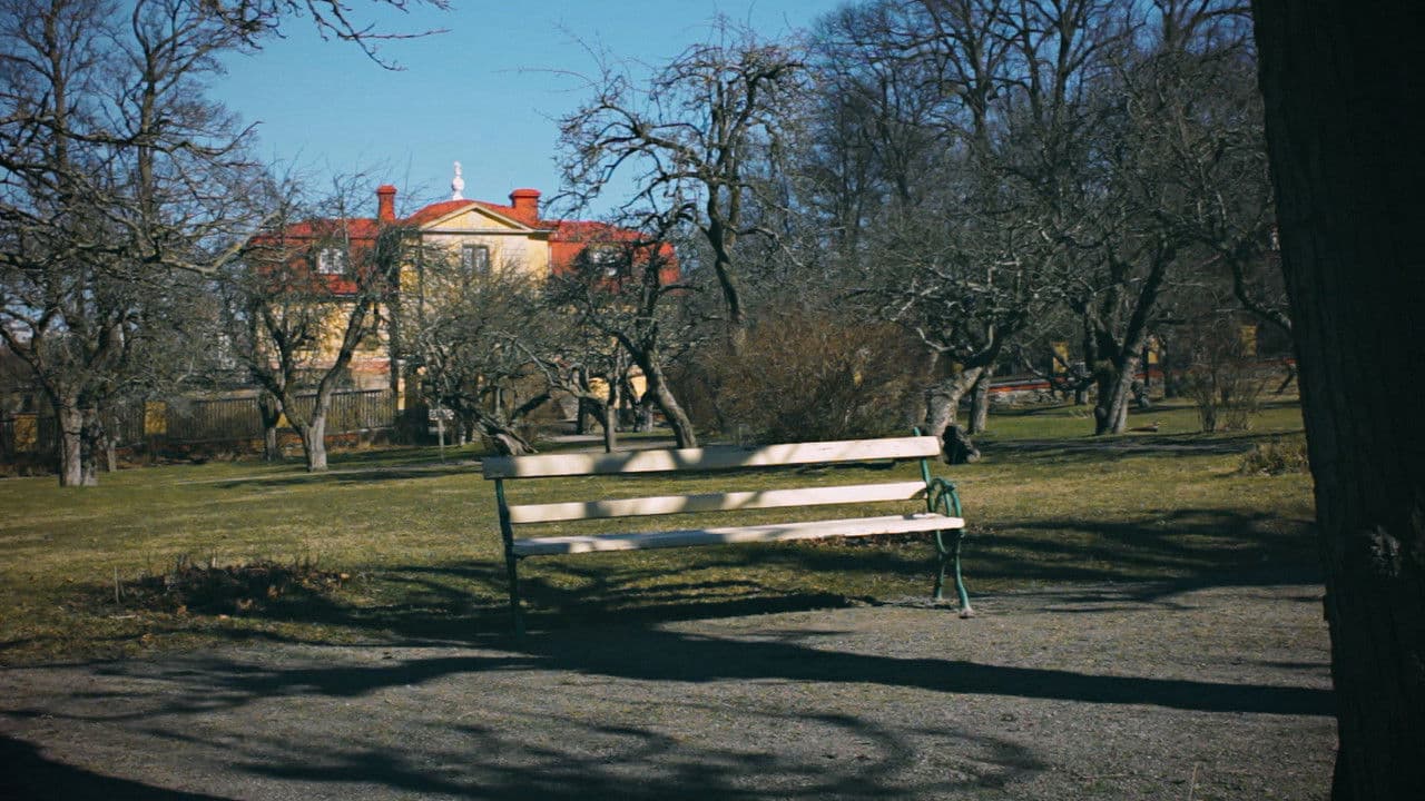 Backdrop – Vägskälet