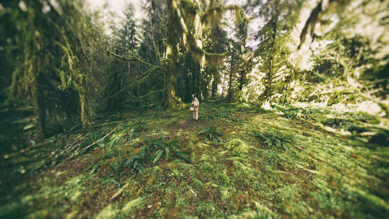 Backdrop – Sanctuaries of Silence