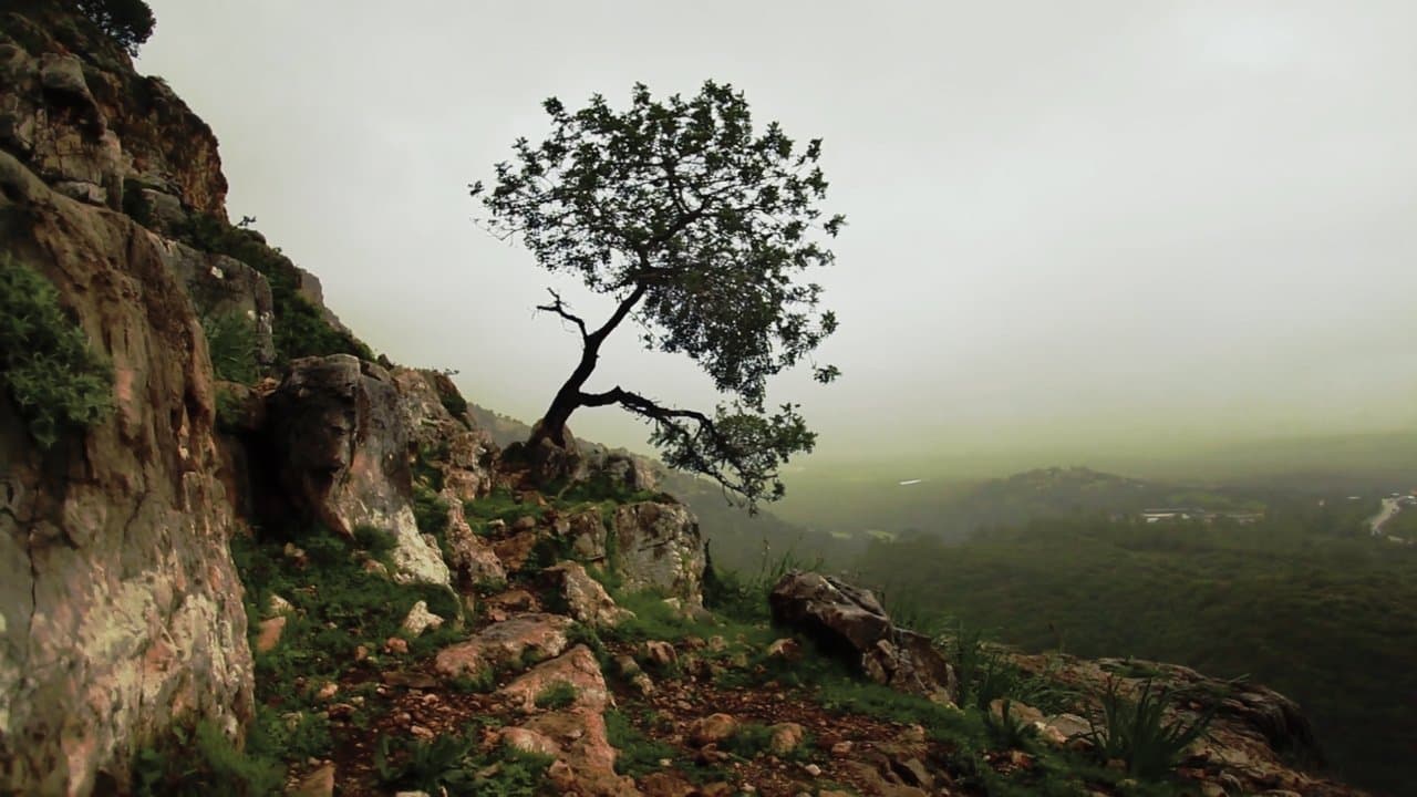 Backdrop – Is Mindfulness Right for You?