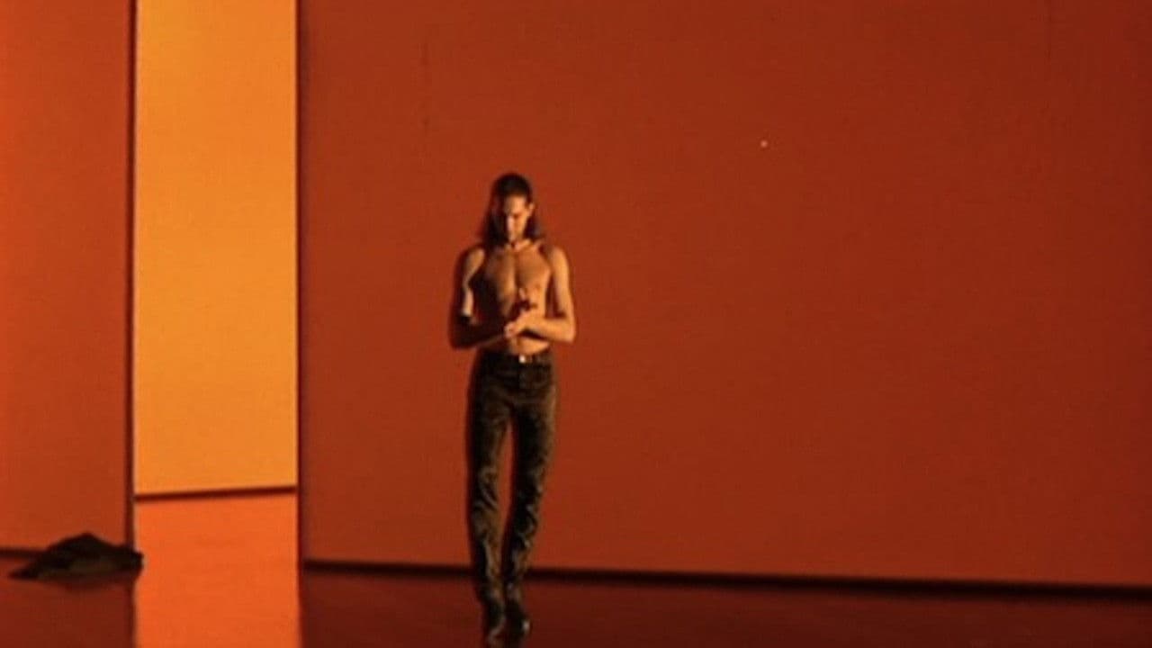 Backdrop – Flamenco