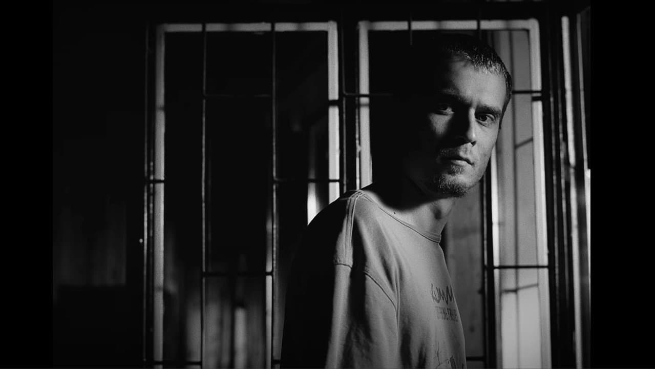 Backdrop – Cam multă spumă