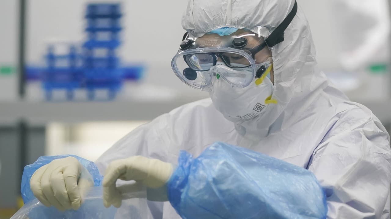 Backdrop – Coronavirus: Are We Doing Enough?