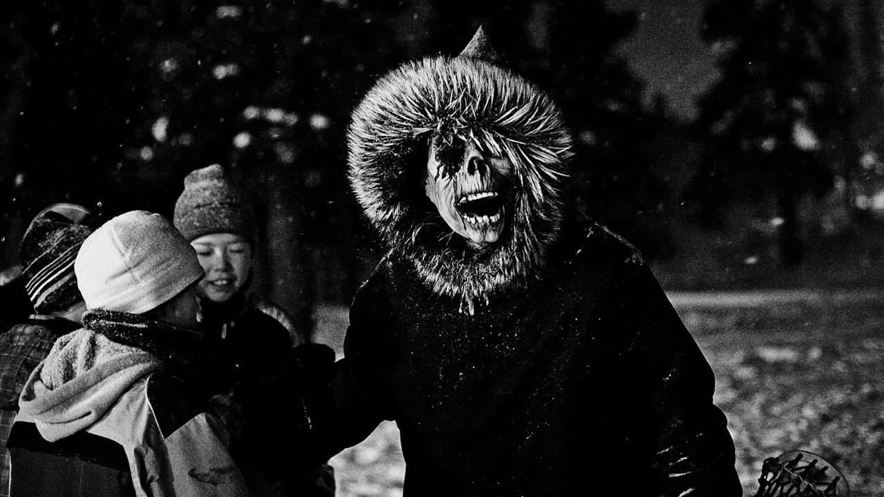 Backdrop – Nalujuk Night
