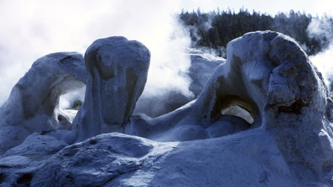 Backdrop – Face of the Earth