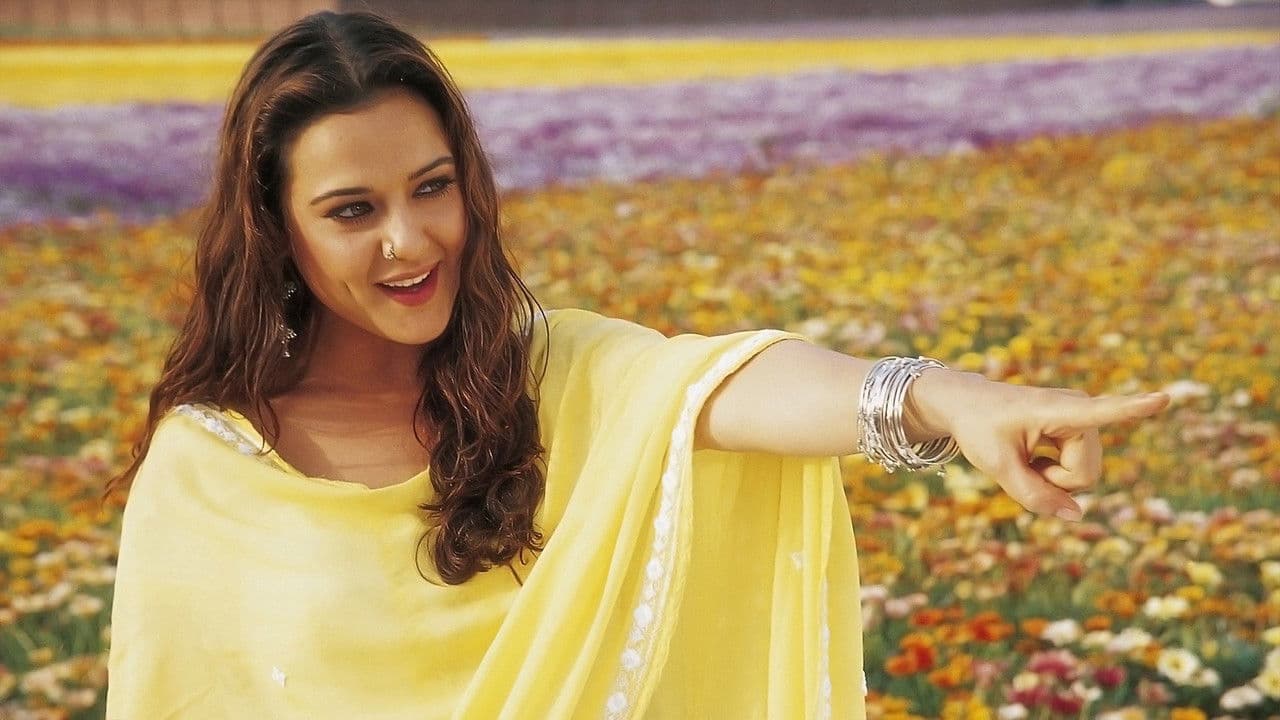 Backdrop – Veer & Zaara - Die Legende einer Liebe