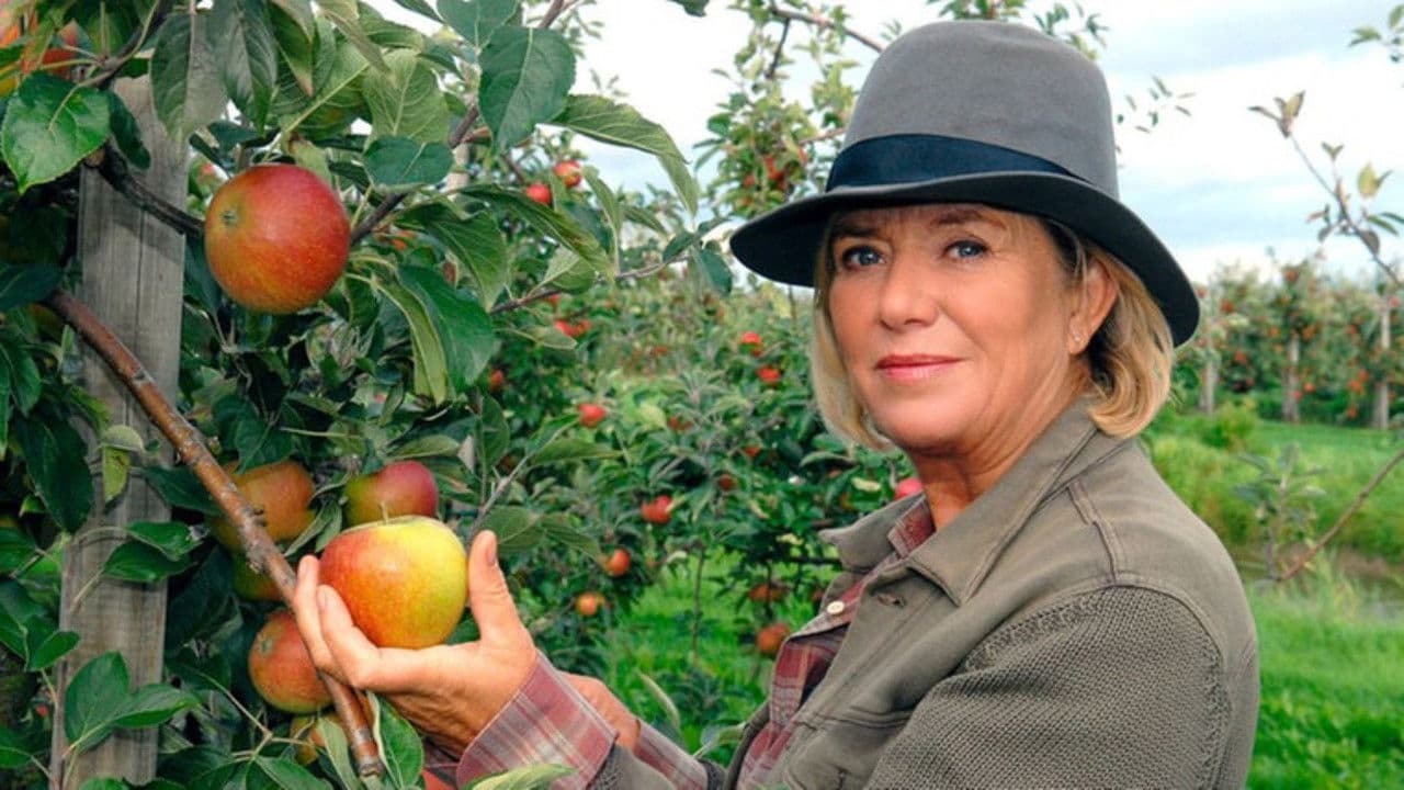 Backdrop – Annas Erbe