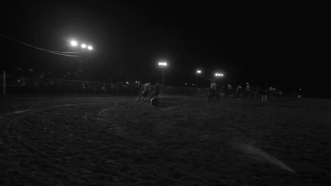 Backdrop – Wildcat