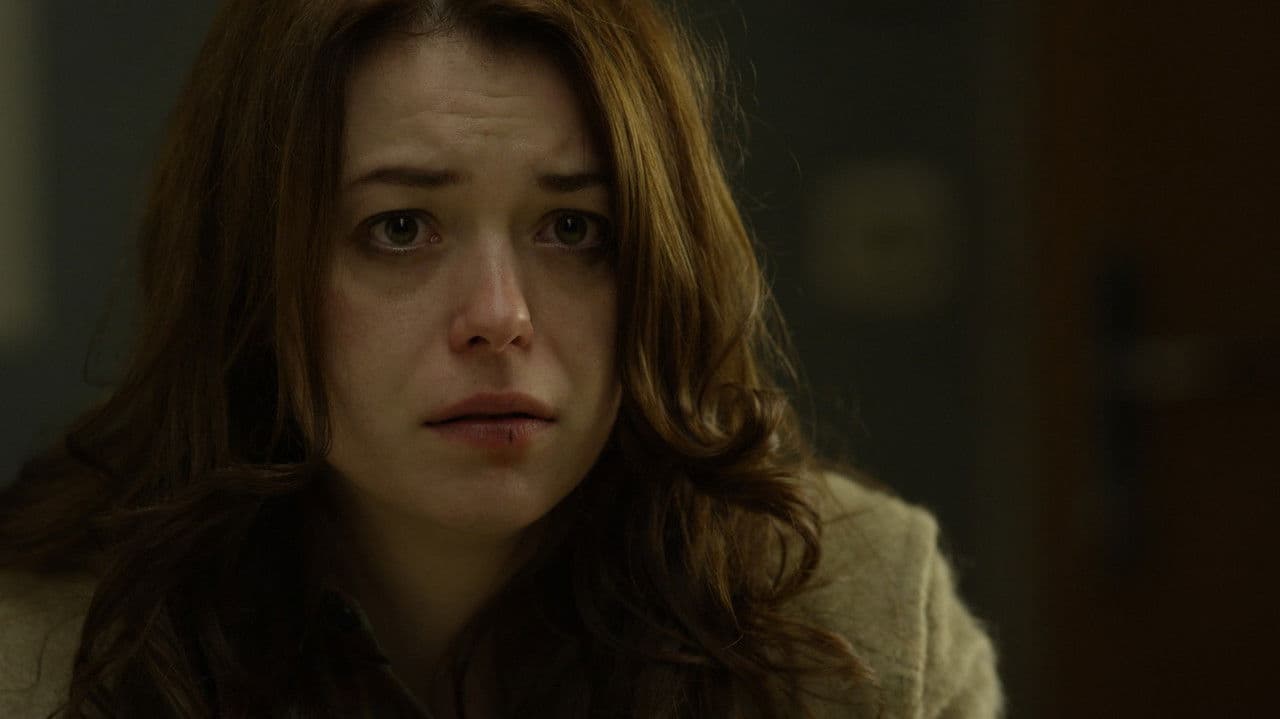 Backdrop – Pod gladino