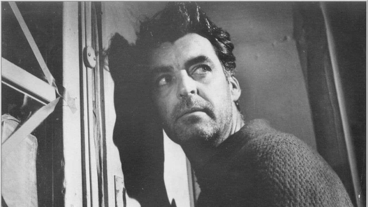 Backdrop – A Face in the Rain