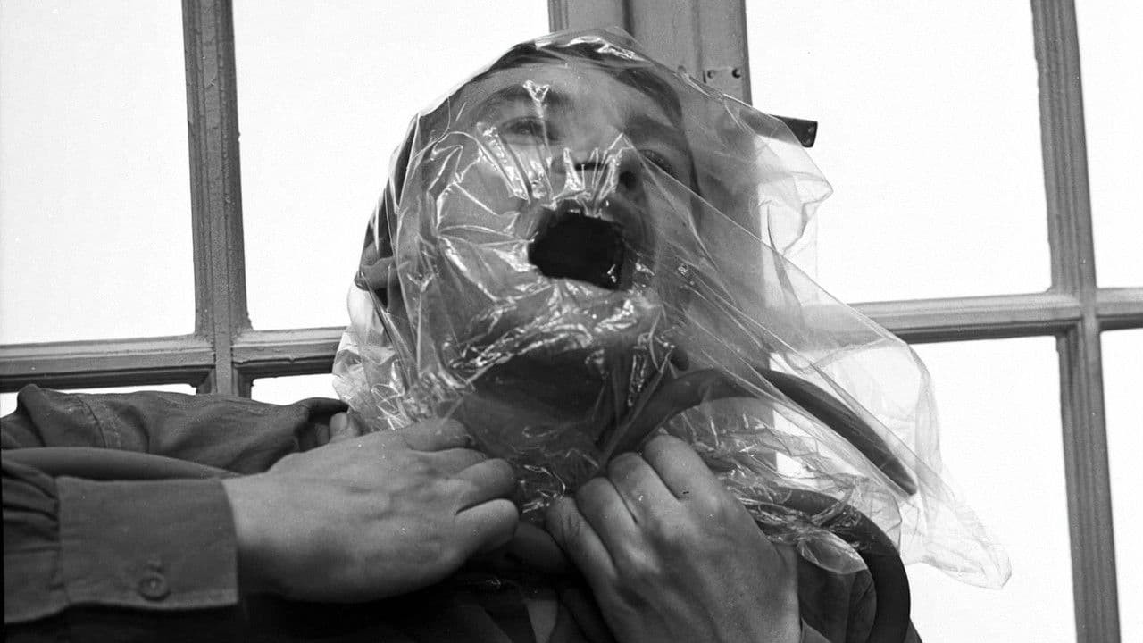 Backdrop – Hände hoch