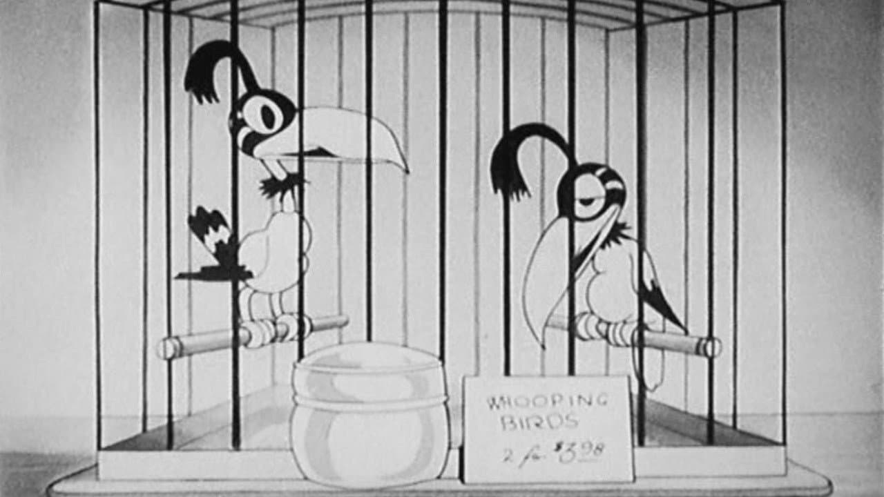 Backdrop – The Bird Store