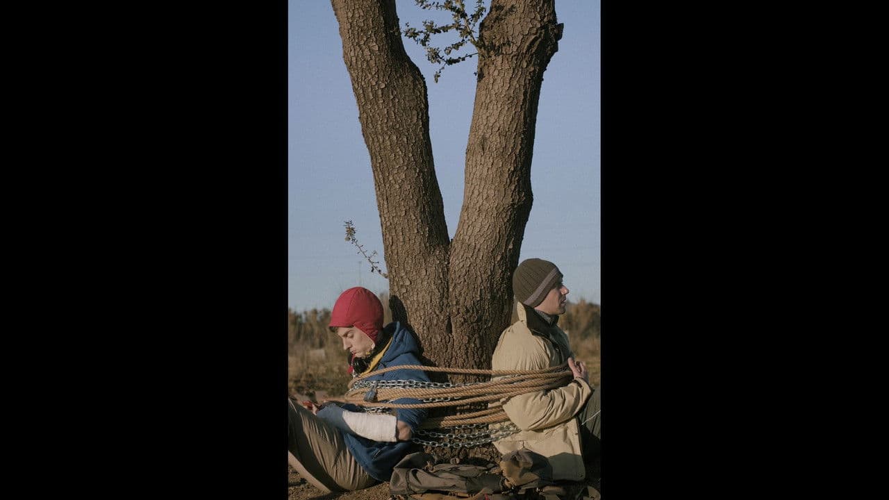 Backdrop – El crit sord dels arbres