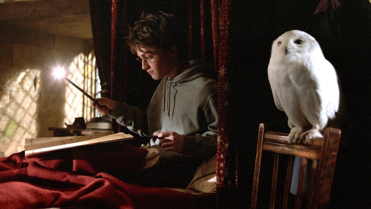 Backdrop – Harry Potter und der Gefangene von Askaban
