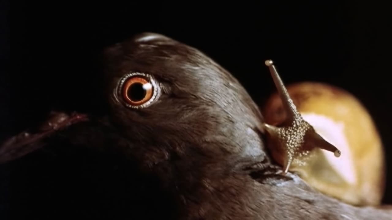 Backdrop – Im Augenblick der Angst