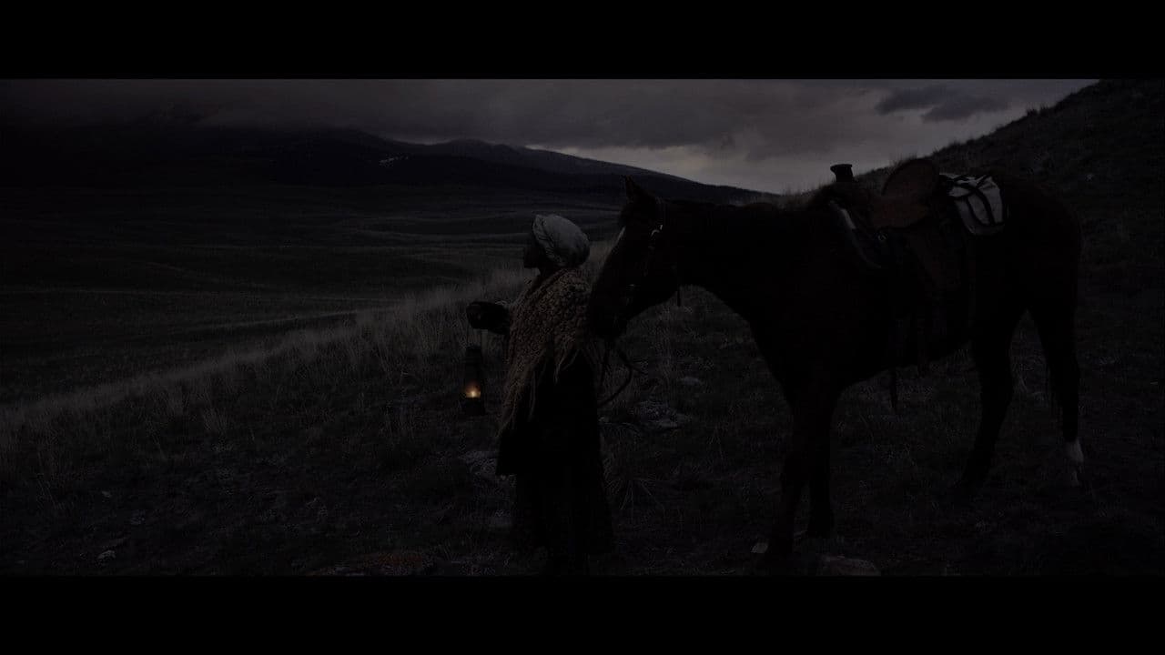 Backdrop – Ride By Night