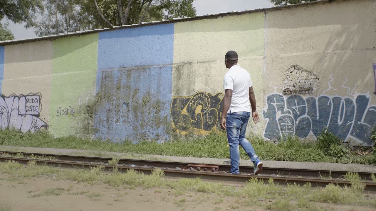 Backdrop – Refugio