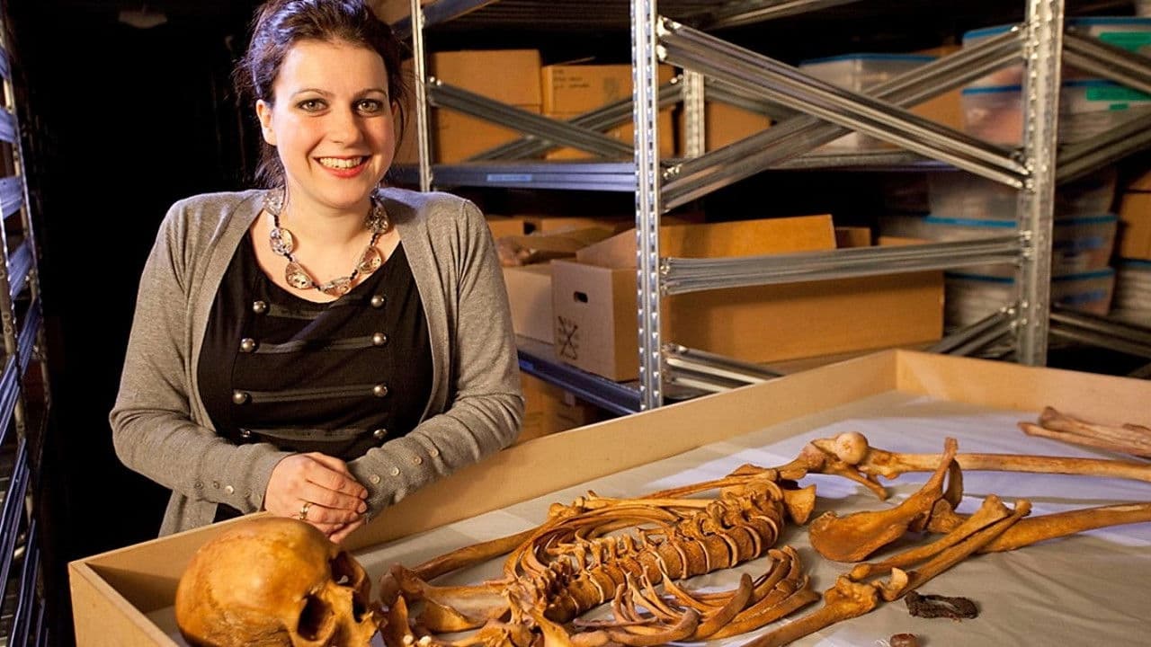 Backdrop – The Viking Sagas