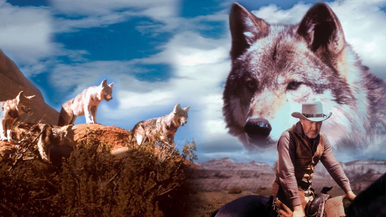 Backdrop – Lobo, der Wolf