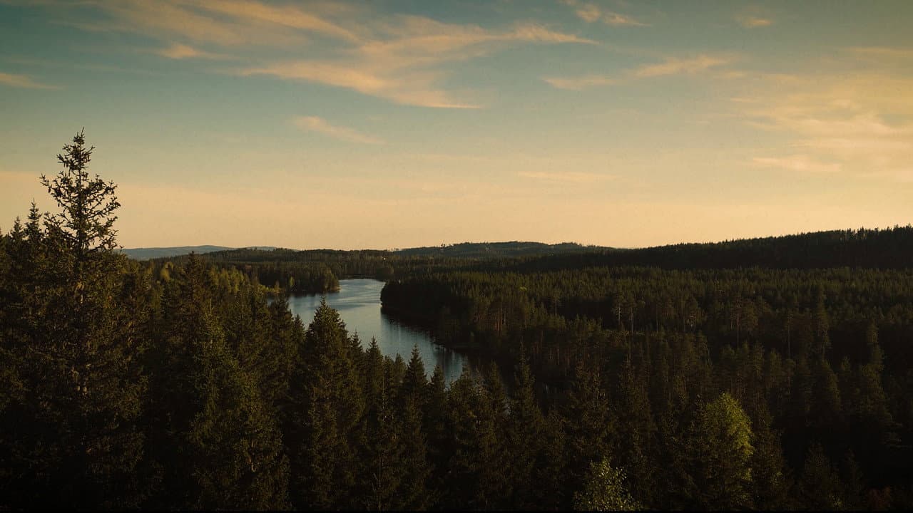 Backdrop – Skodde