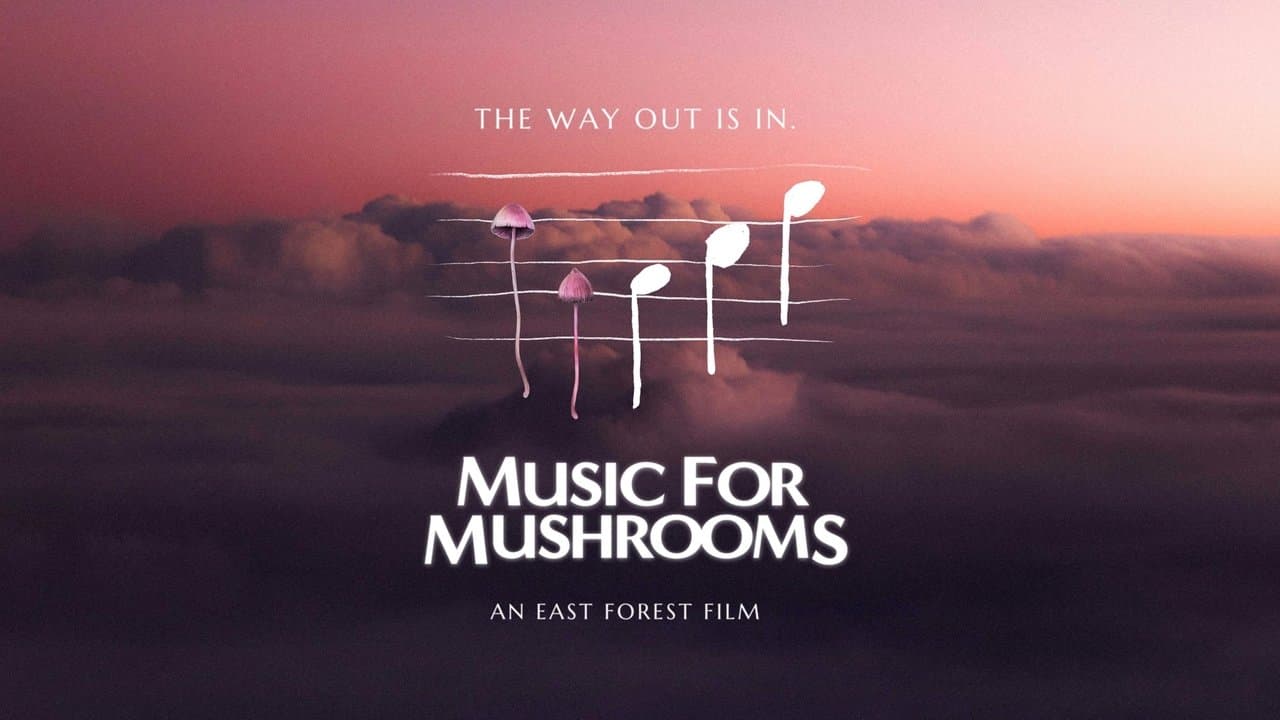 Backdrop – Music for Mushrooms