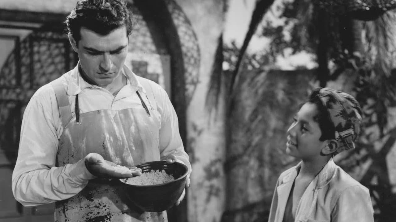 Backdrop – The Magic Alphabet