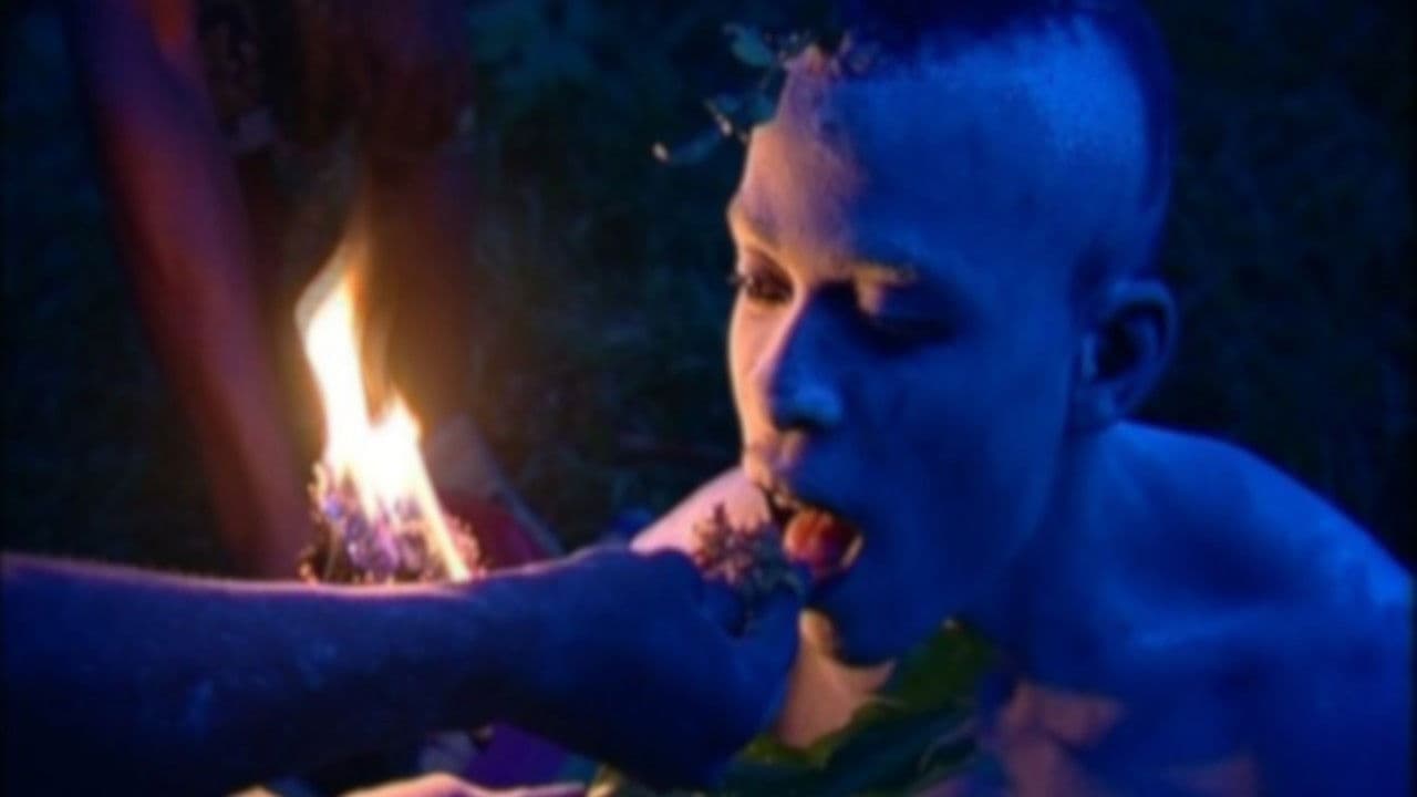 Backdrop – L'Iboga: Les Hommes du bois sacré