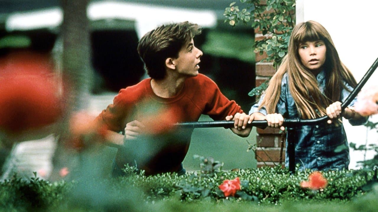 Backdrop – Die Spürnasen