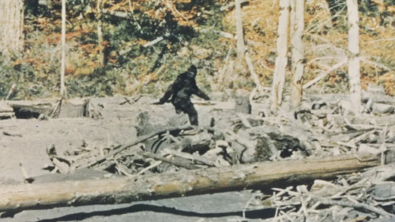 Backdrop – Bigfoot: Man or Beast?