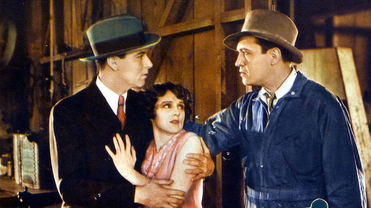 Backdrop – The Flying Marine