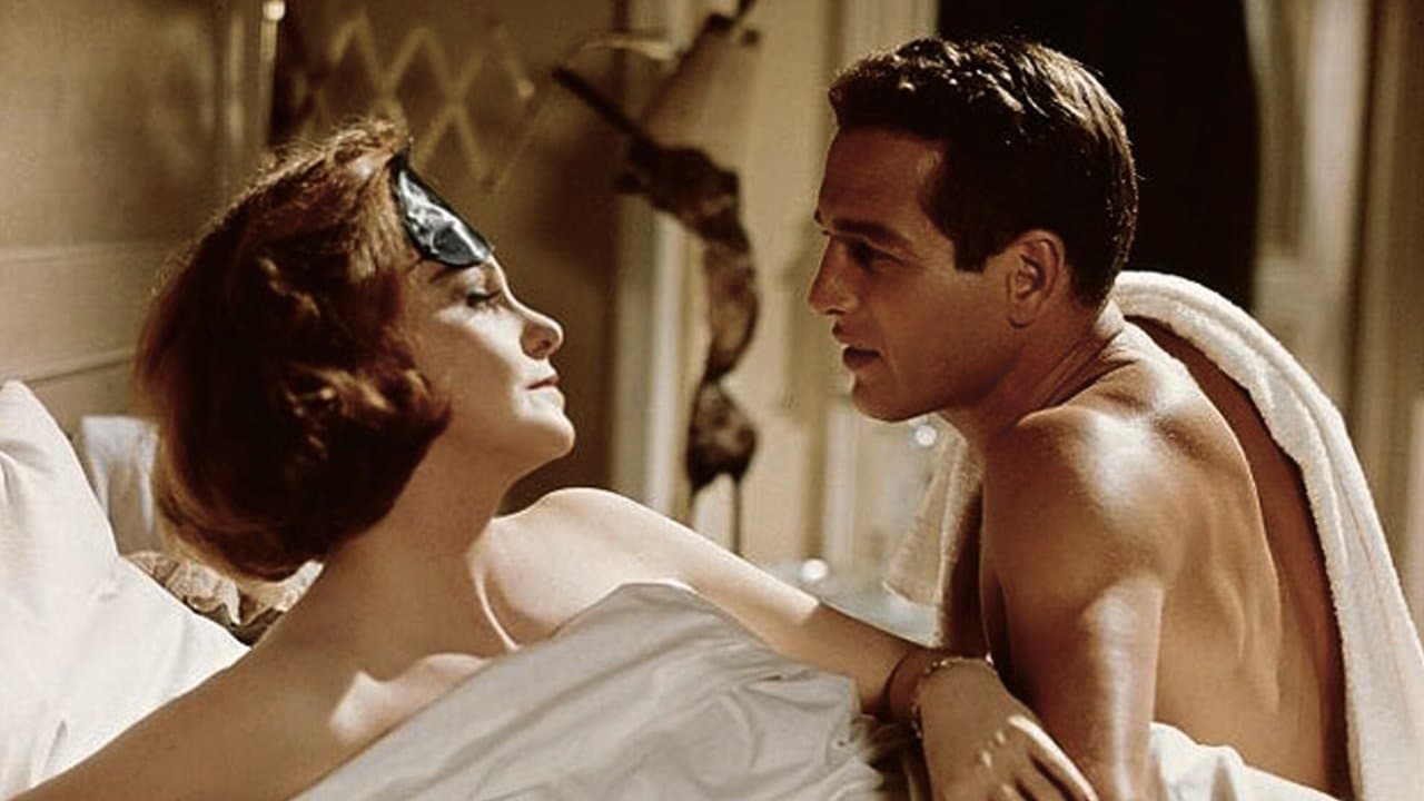 Backdrop – Süßer Vogel Jugend