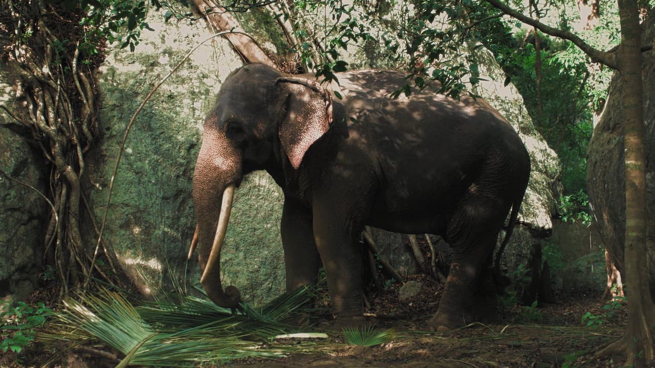 Backdrop – Cemetery