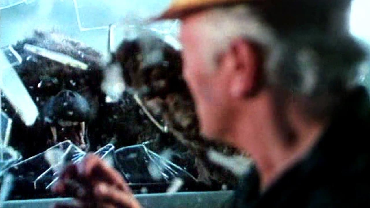 Backdrop – Im Schatten des Kilimandscharo