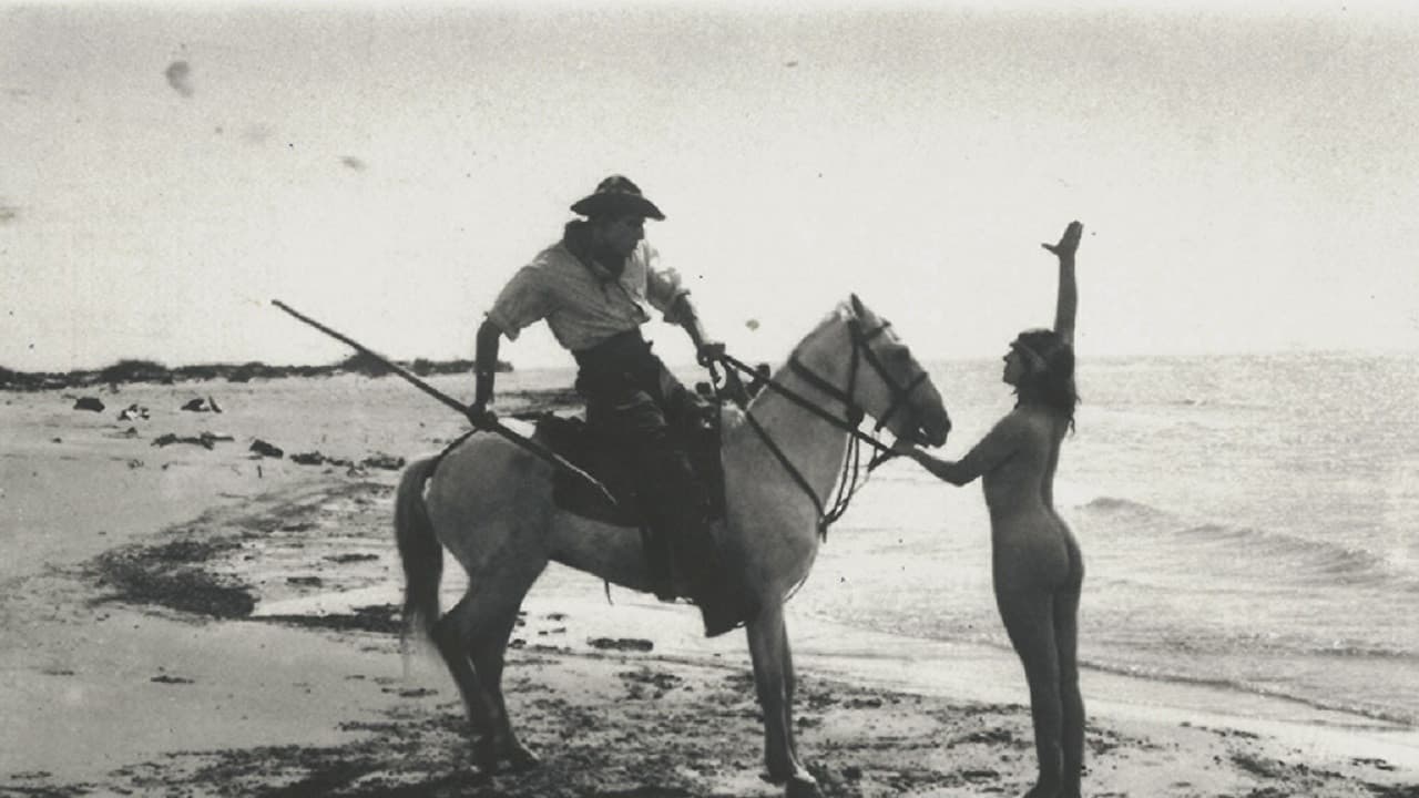 Backdrop – Le roi de Camargue