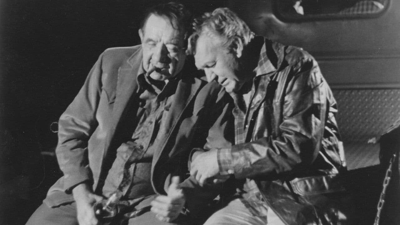 Backdrop – The Wild McCullochs