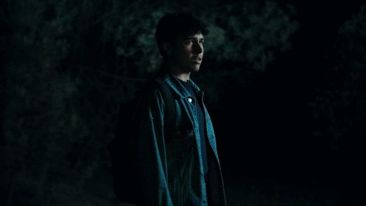 Backdrop – El Bosque del Eco