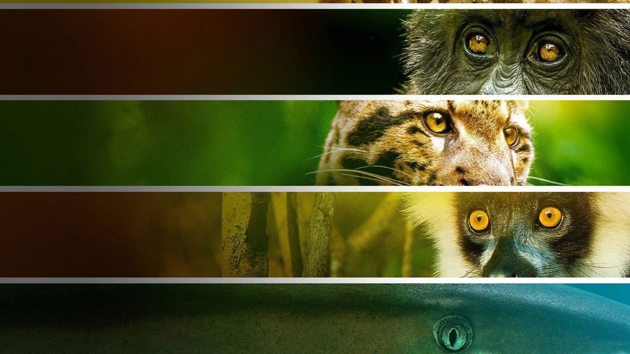 Backdrop – Endangered